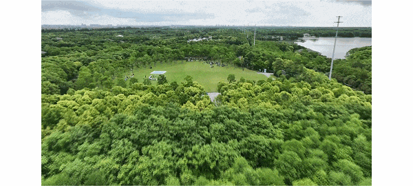 图13.gif
