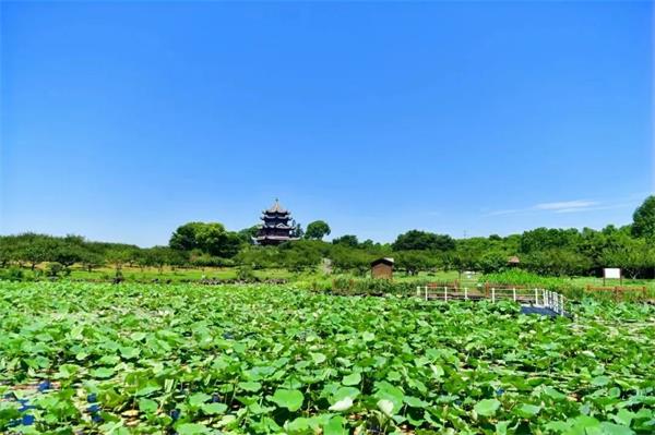 图片4.jpg