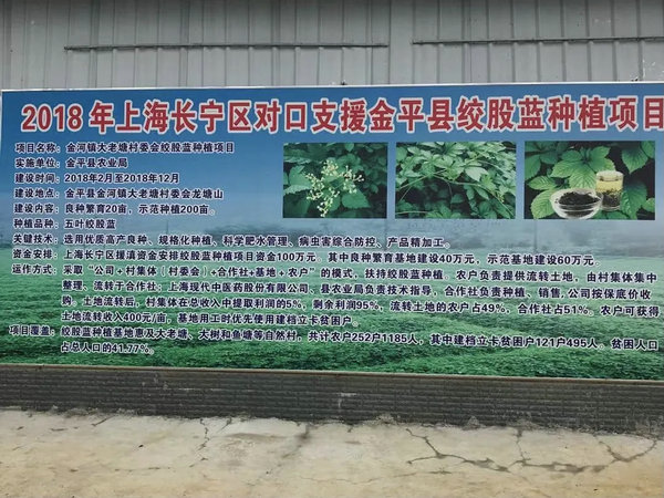 01_副本.jpg