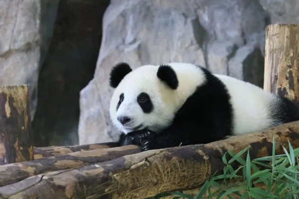 图5.jpg
