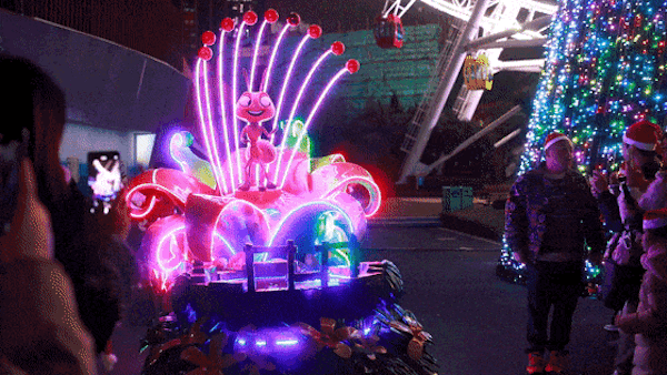 6.gif