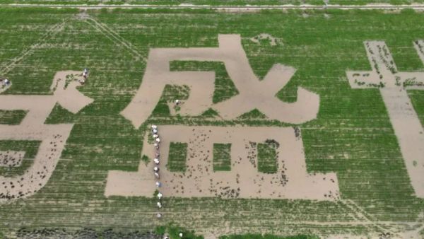 图三.jpg