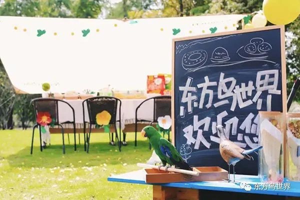 图11.jpg
