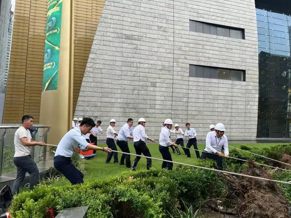 图5.jpg