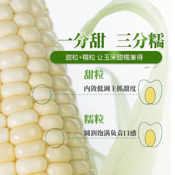 图6.png