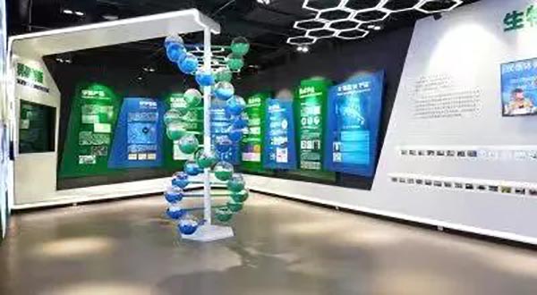 图11.jpg