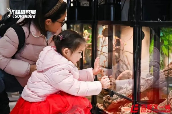 图5.jpg