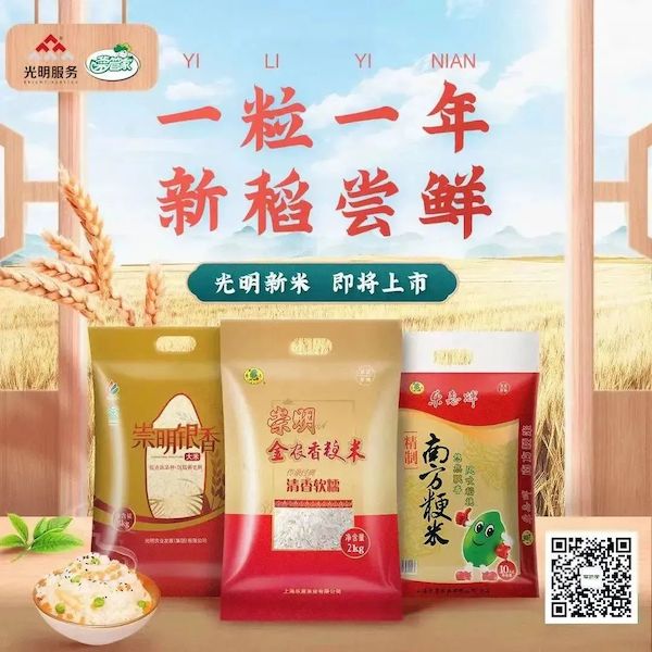 足不出戶