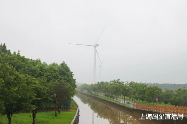 图七.jpg