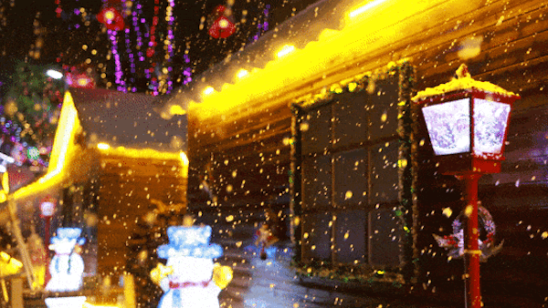 5.gif