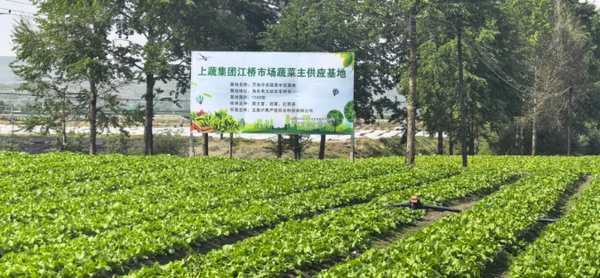 图1.png