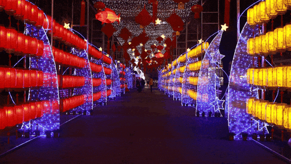 10.gif