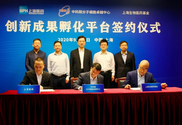 图片2_副本.png