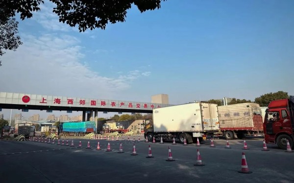 图三.jpg