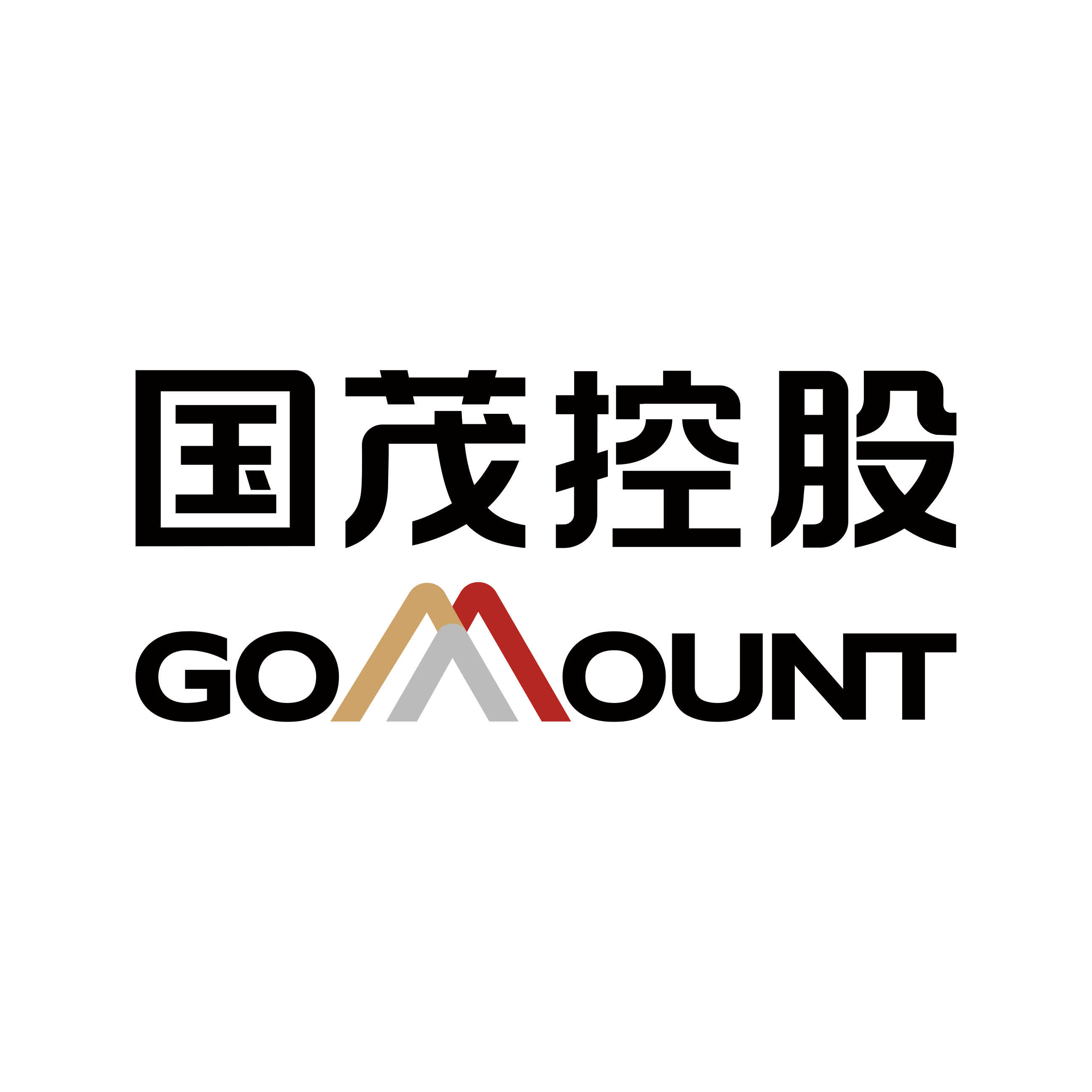 上海国茂控股有限公司