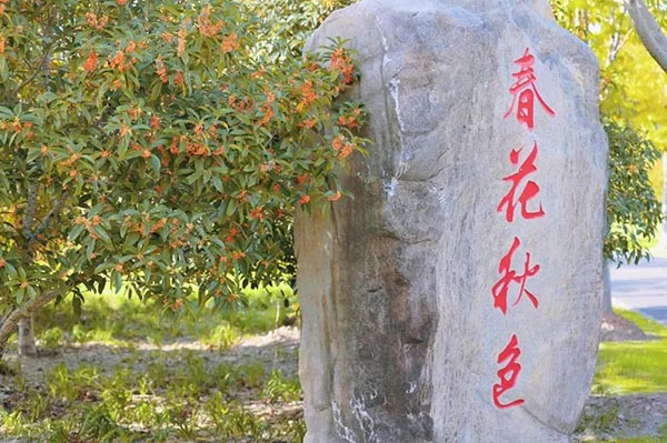 图2.jpg