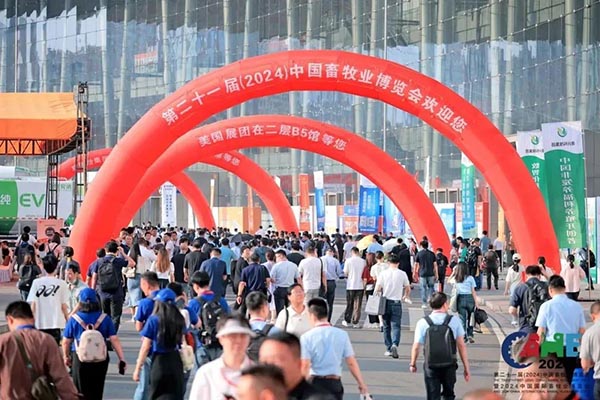 图1.jpg