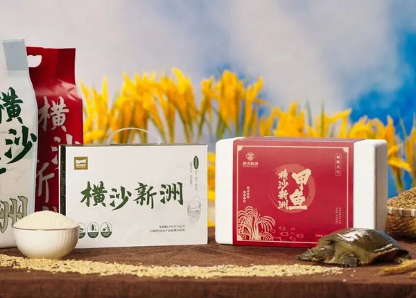 图3.png