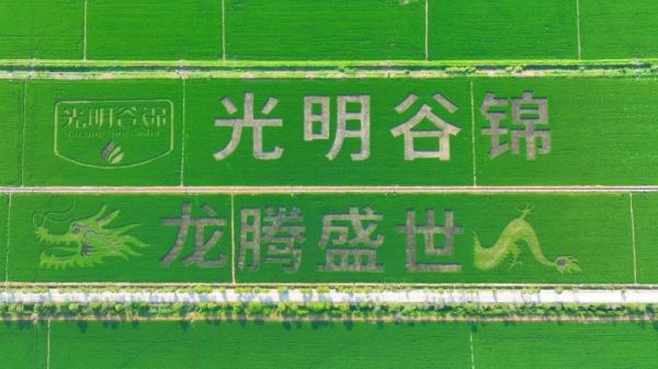 图四.jpg