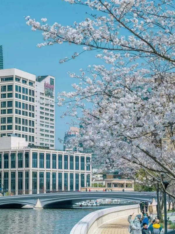 图6.jpg