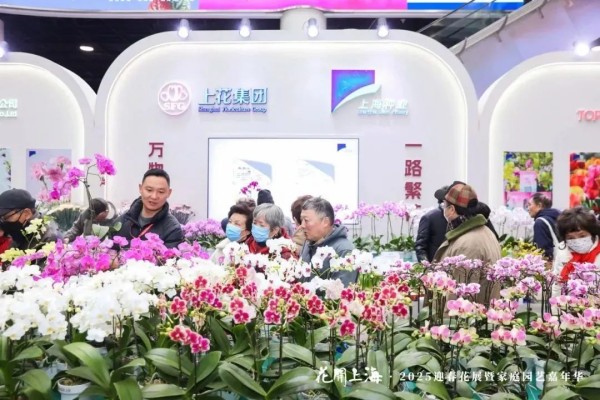 图5.jpg